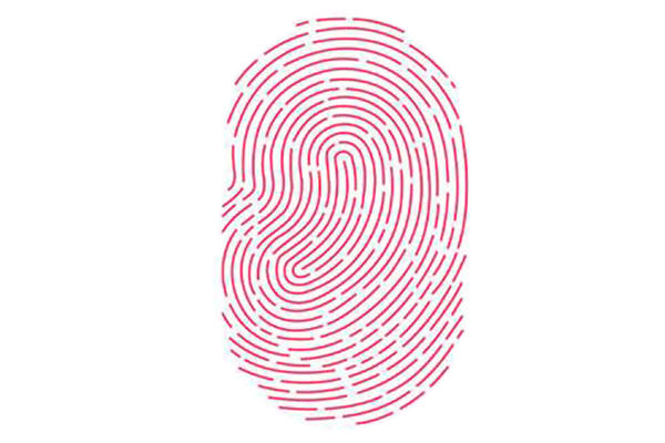 [field:text /]
