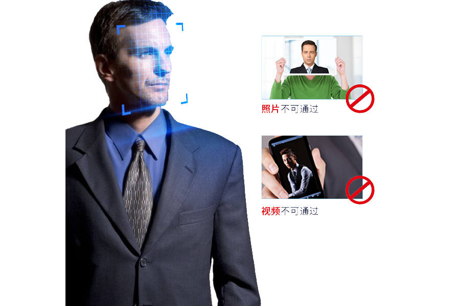 [field:text /]